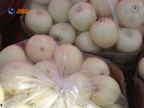 昌乐蜜罐瓜今日价格,甜蜜来袭，品质之选！