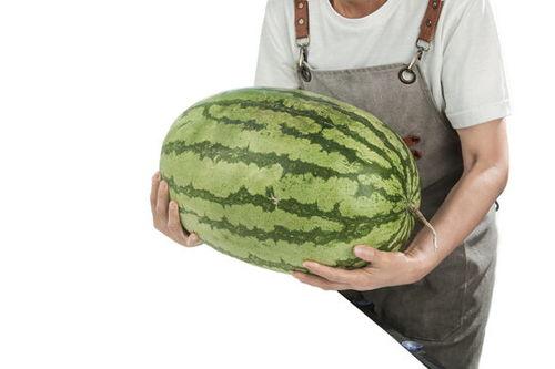 东莞石头瓜今日行情,价格波动，市场供需分析”