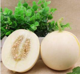 通海今日小瓜价格多少,行情波动，市民关注