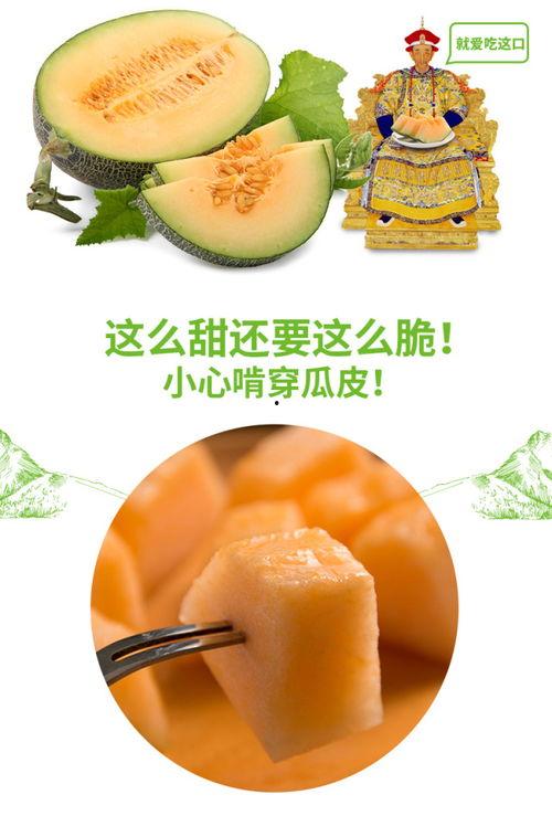 今日吃瓜最佳推荐是什么瓜,揭秘今日最佳推荐瓜种